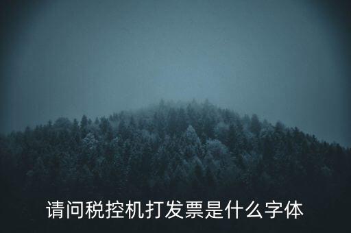 請問稅控機打發(fā)票是什么字體