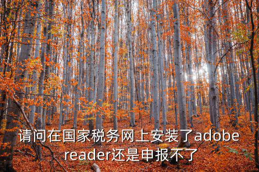 請(qǐng)問(wèn)在國(guó)家稅務(wù)網(wǎng)上安裝了adobe reader還是申報(bào)不了