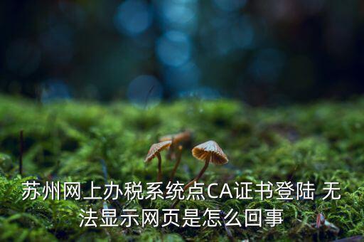 蘇州網(wǎng)上辦稅系統(tǒng)點(diǎn)CA證書登陸 無法顯示網(wǎng)頁是怎么回事