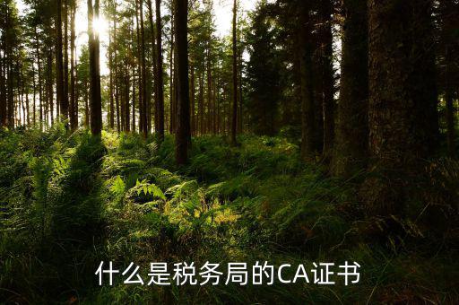 什么是納稅人ca證書，什么是ca證書