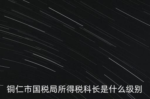 地稅局股長是什么級別，地稅里的職位 股長是什么級別