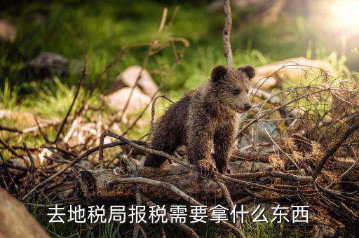 去地稅局報稅需要拿什么東西