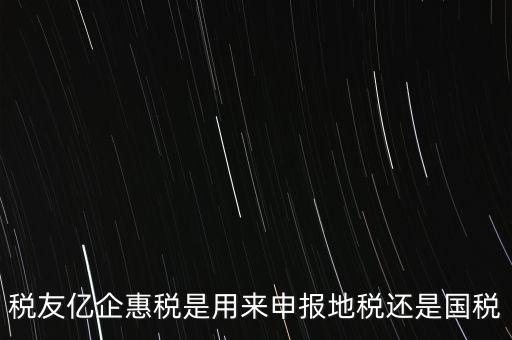 稅友億企惠稅是用來申報地稅還是國稅