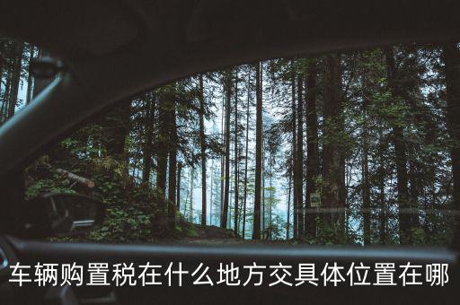 榆次汽車購(gòu)置稅在什么地方交，車輛購(gòu)置稅在什么地方交具體位置在哪