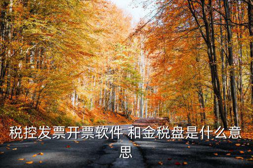 稅控發(fā)票開票軟件 和金稅盤是什么意思