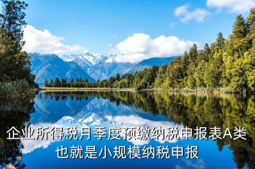 福建預繳申請表什么格式，企業(yè)所得稅月季度預繳納稅申報表A類也就是小規(guī)模納稅申報