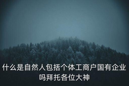 什么是稅務(wù)中的自然人，會(huì)計(jì)中自然人所指的是那種人