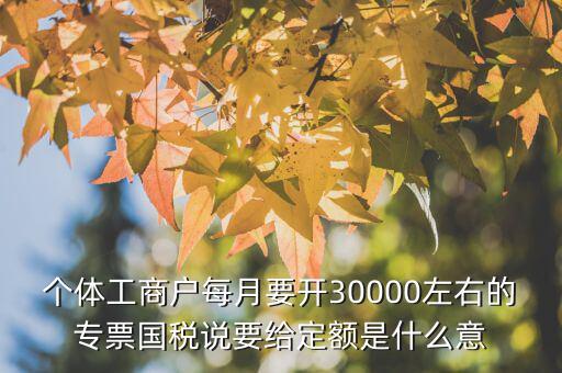 國(guó)稅定額是什么意思，個(gè)體工商戶(hù)每月要開(kāi)30000左右的專(zhuān)票國(guó)稅說(shuō)要給定額是什么意