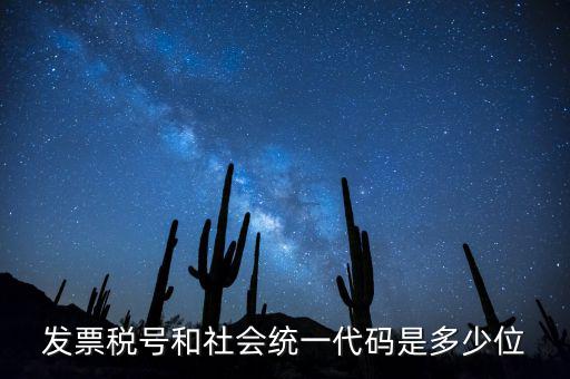 發(fā)票稅號和社會(huì)統(tǒng)一代碼是多少位