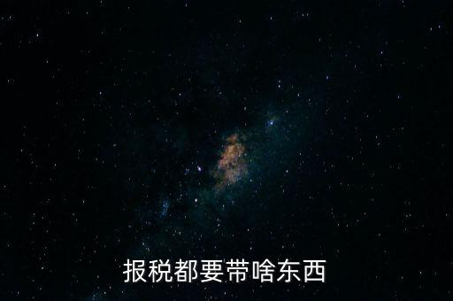 報(bào)稅都要帶啥東西