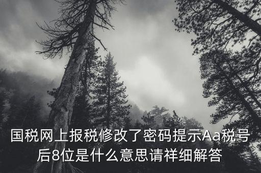 國(guó)稅網(wǎng)上報(bào)稅修改了密碼提示Aa稅號(hào)后8位是什么意思請(qǐng)祥細(xì)解答