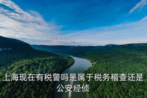 上?，F(xiàn)在有稅警嗎是屬于稅務稽查還是公安經偵