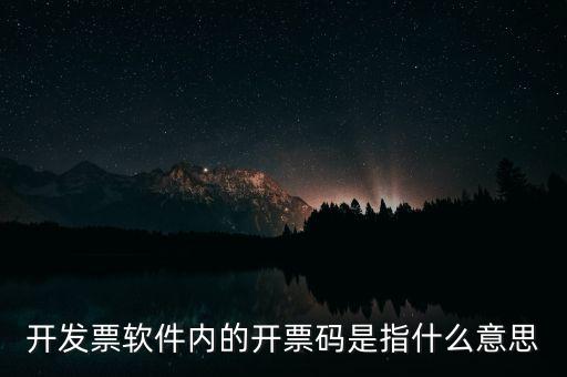 開發(fā)票軟件內(nèi)的開票碼是指什么意思