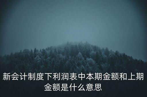 新會(huì)計(jì)制度下利潤(rùn)表中本期金額和上期金額是什么意思