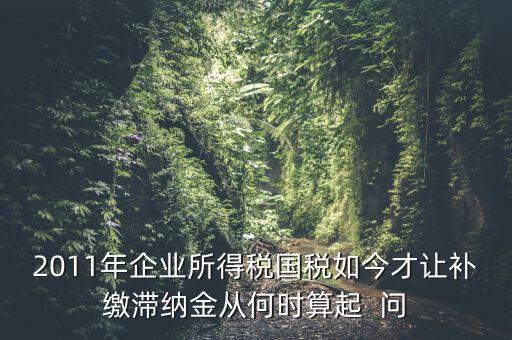 納稅滯納金什么時(shí)候算，企業(yè)所得稅滯納金計(jì)算從何時(shí)開始計(jì)算