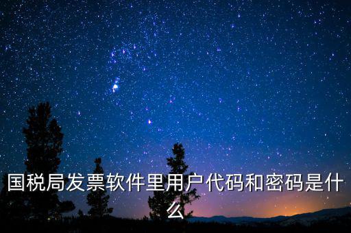 登錄稅務(wù)開票密碼是什么，國稅第一次網(wǎng)上申報的登陸密碼是什么