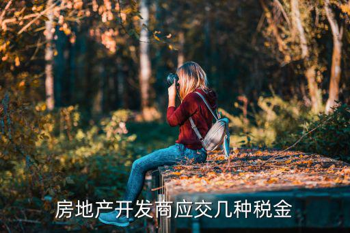 房地產(chǎn)公司交什么稅，房地產(chǎn)公司都要交什么稅