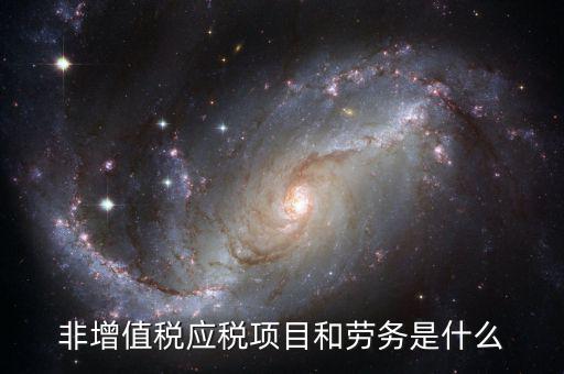 非增值稅應(yīng)稅項目和勞務(wù)是什么