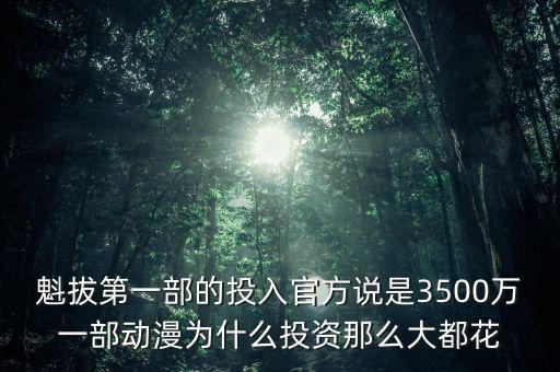 魁拔第一部的投入官方說是3500萬一部動(dòng)漫為什么投資那么大都花