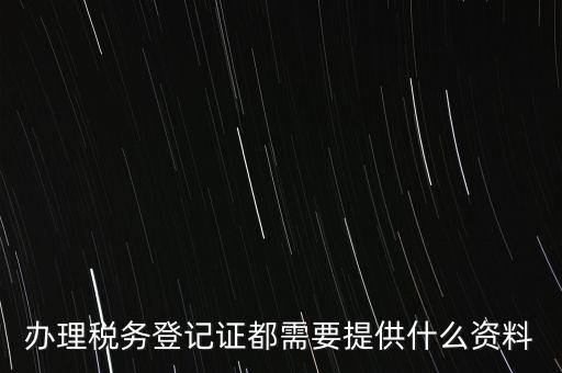 辦理稅務登記證都需要提供什么資料