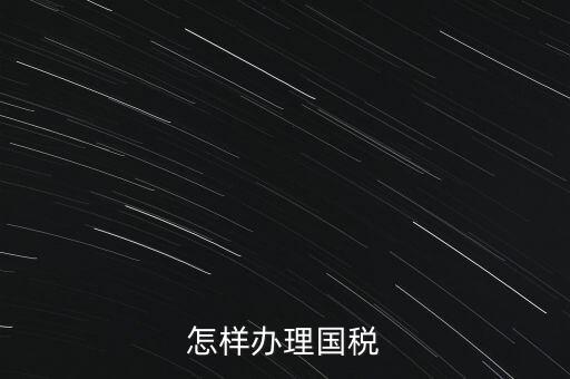 怎樣辦理國稅