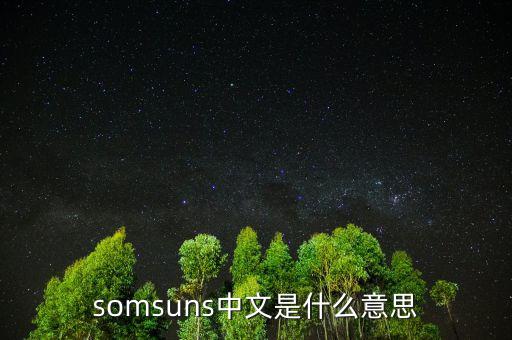 somsuns中文是什么意思