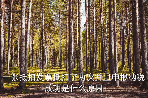 一張抵扣發(fā)票抵扣了兩次并且申報(bào)納稅成功是什么原因