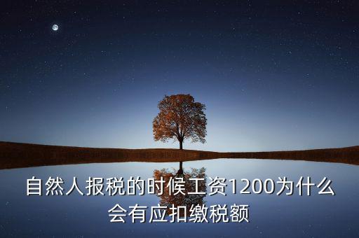 自然人報稅的時候工資1200為什么會有應扣繳稅額