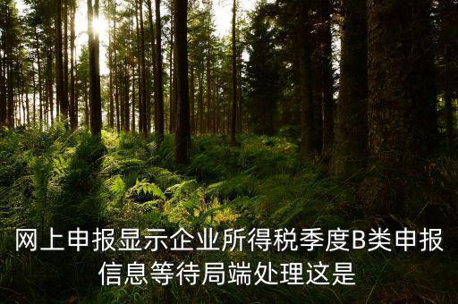 網上申報顯示企業(yè)所得稅季度B類申報信息等待局端處理這是