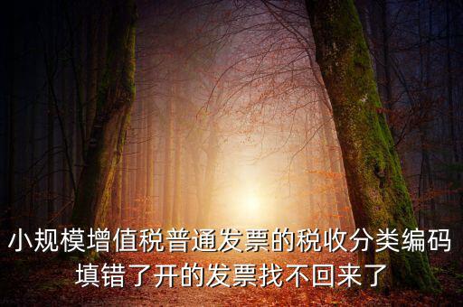 小規(guī)模增值稅普通發(fā)票的稅收分類編碼填錯(cuò)了開的發(fā)票找不回來了