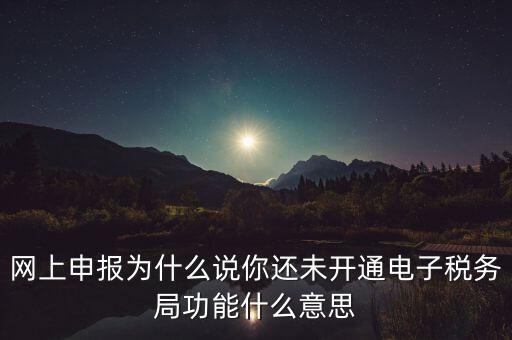 電子稅務(wù)局是干什么，企業(yè)金稅盤系統(tǒng)用來開票抄稅報稅用那登錄國稅地稅局網(wǎng)站是干嘛的