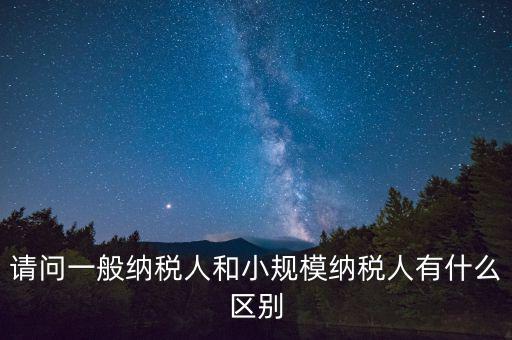 請(qǐng)問一般納稅人和小規(guī)模納稅人有什么區(qū)別