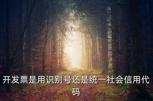 發(fā)票填寫統(tǒng)一社會代碼是什么，開發(fā)票要的稅號是統(tǒng)一社會代碼證號嗎