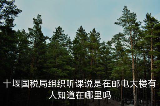 十堰國稅六辦指什么地方，十堰國稅局組織聽課說是在郵電大樓有人知道在哪里嗎