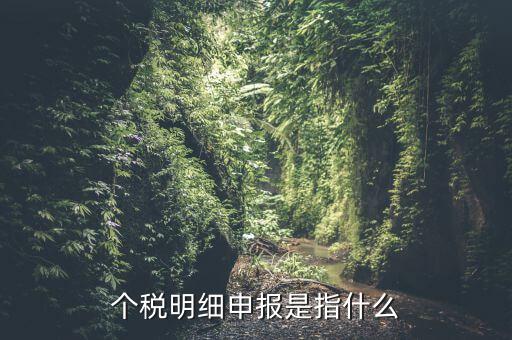 個稅明細(xì)申報是指什么