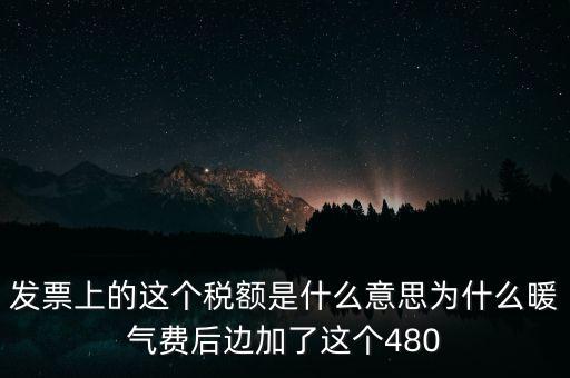 發(fā)票上的這個稅額是什么意思為什么暖氣費后邊加了這個480