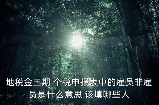 地稅金三期 個稅申報表中的雇員非雇員是什么意思 該填哪些人