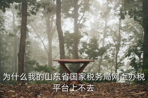 為什么我的山東省國(guó)家稅務(wù)局網(wǎng)上辦稅平臺(tái)上不去