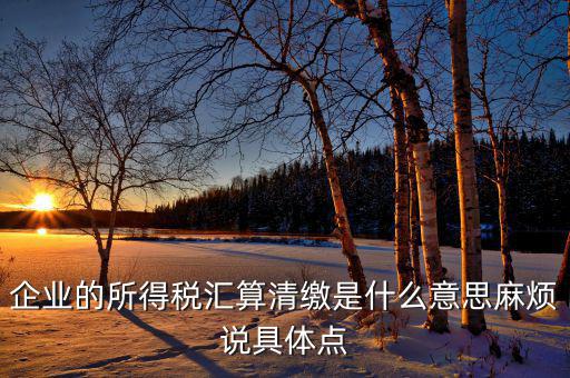 年度匯算清繳什么意思，企業(yè)的所得稅匯算清繳是什么意思麻煩說具體點