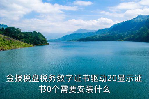 金報稅盤稅務數(shù)字證書驅(qū)動20顯示證書0個需要安裝什么