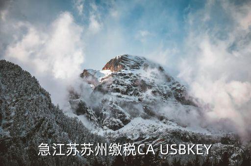 急江蘇蘇州繳稅CA USBKEY