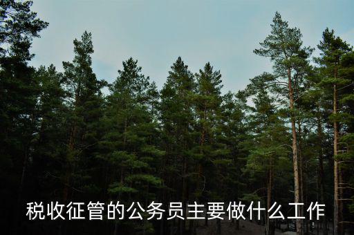 稅收管理員干什么的，稅收征管的公務(wù)員主要做什么工作