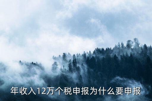 為什么12萬要申報(bào)表，每個月都已繳納為什么年收入超過12萬還需要再申報(bào)