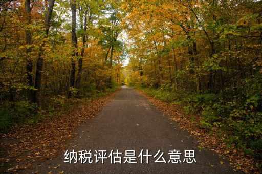 納稅評(píng)估是什么意思