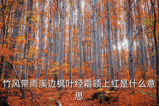 竹風(fēng)帶雨溪邊楓葉經(jīng)霜領(lǐng)上紅是什么意思