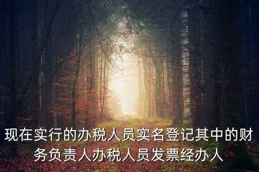 實(shí)名辦稅是什么時間提出的，現(xiàn)在實(shí)行的辦稅人員實(shí)名登記其中的財務(wù)負(fù)責(zé)人辦稅人員發(fā)票經(jīng)辦人