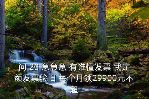 問(wèn) 20 急急急 有誰(shuí)懂發(fā)票 我定額發(fā)票驗(yàn)舊 每個(gè)月領(lǐng)29900元不超