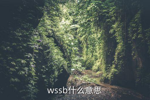 wssb是什么地方，開普敦是什么地方