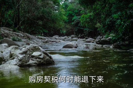 購房契稅何時(shí)能退下來