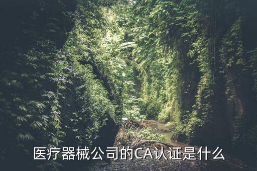 醫(yī)療器械公司的CA認證是什么